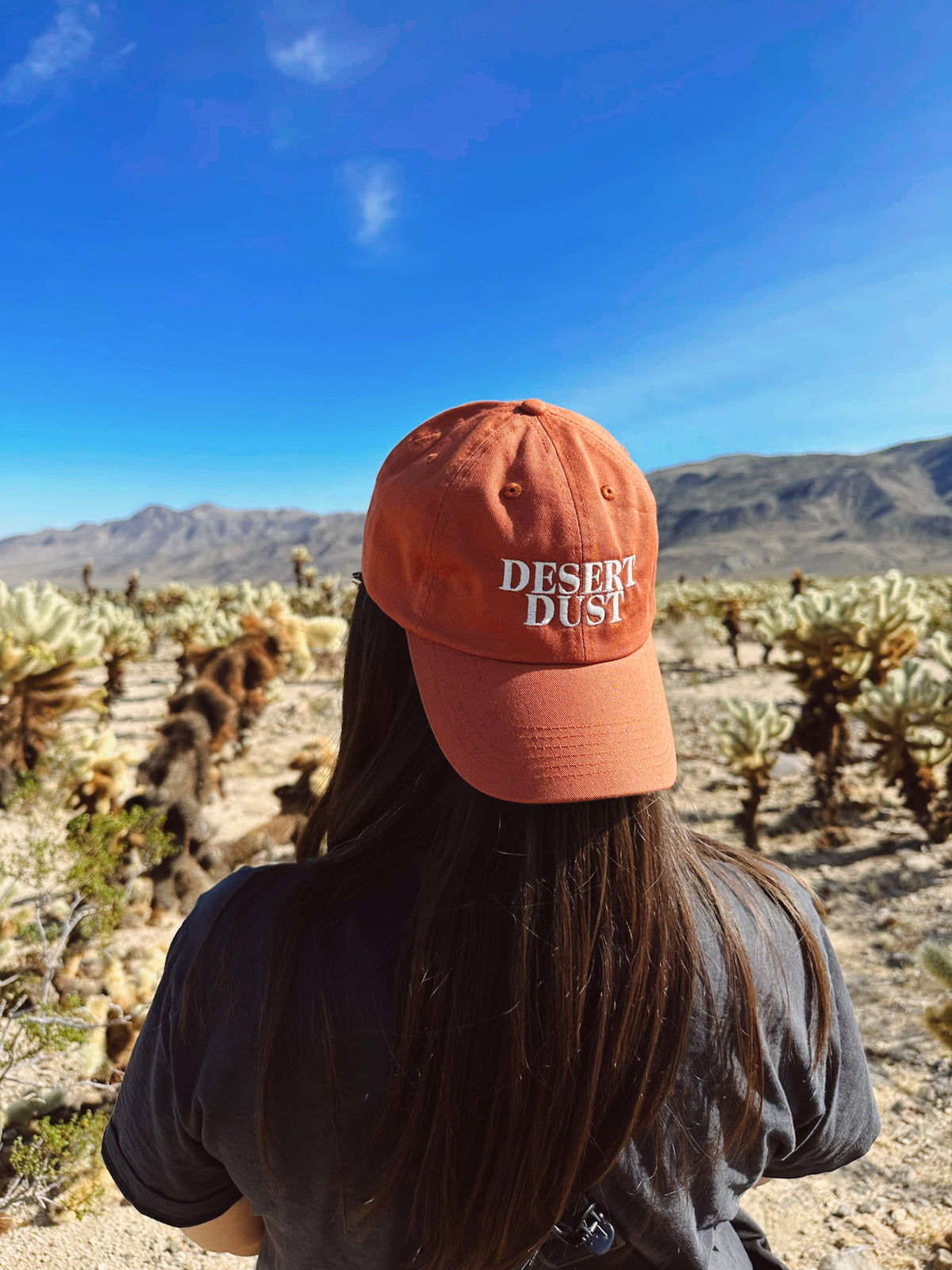 Desert Dust Dad Hat