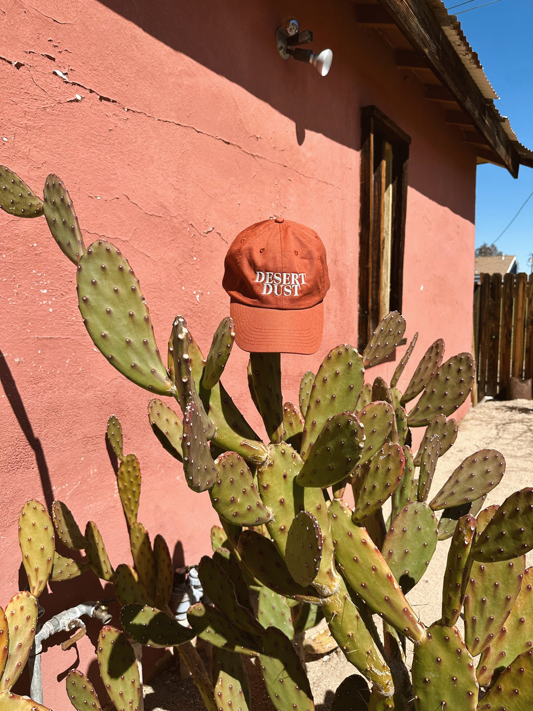 Desert Dust Dad Hat