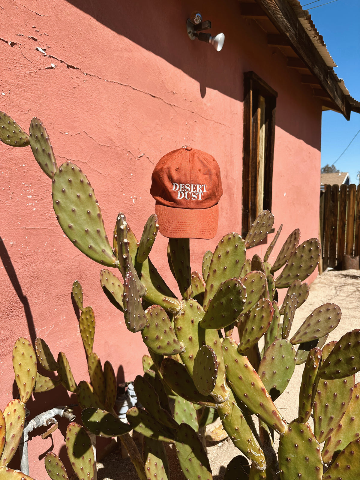 Desert Dust Dad Hat
