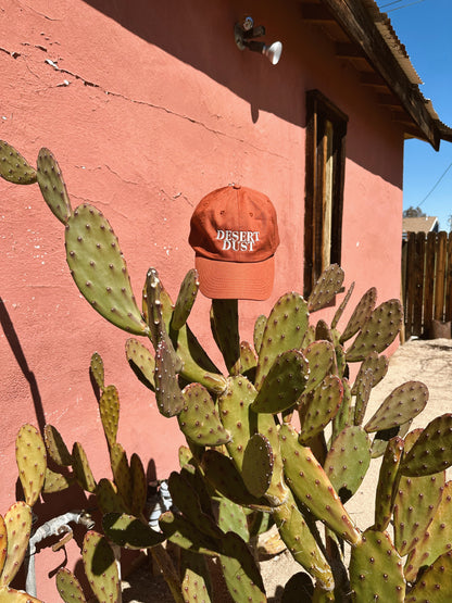Desert Dust Dad Hat