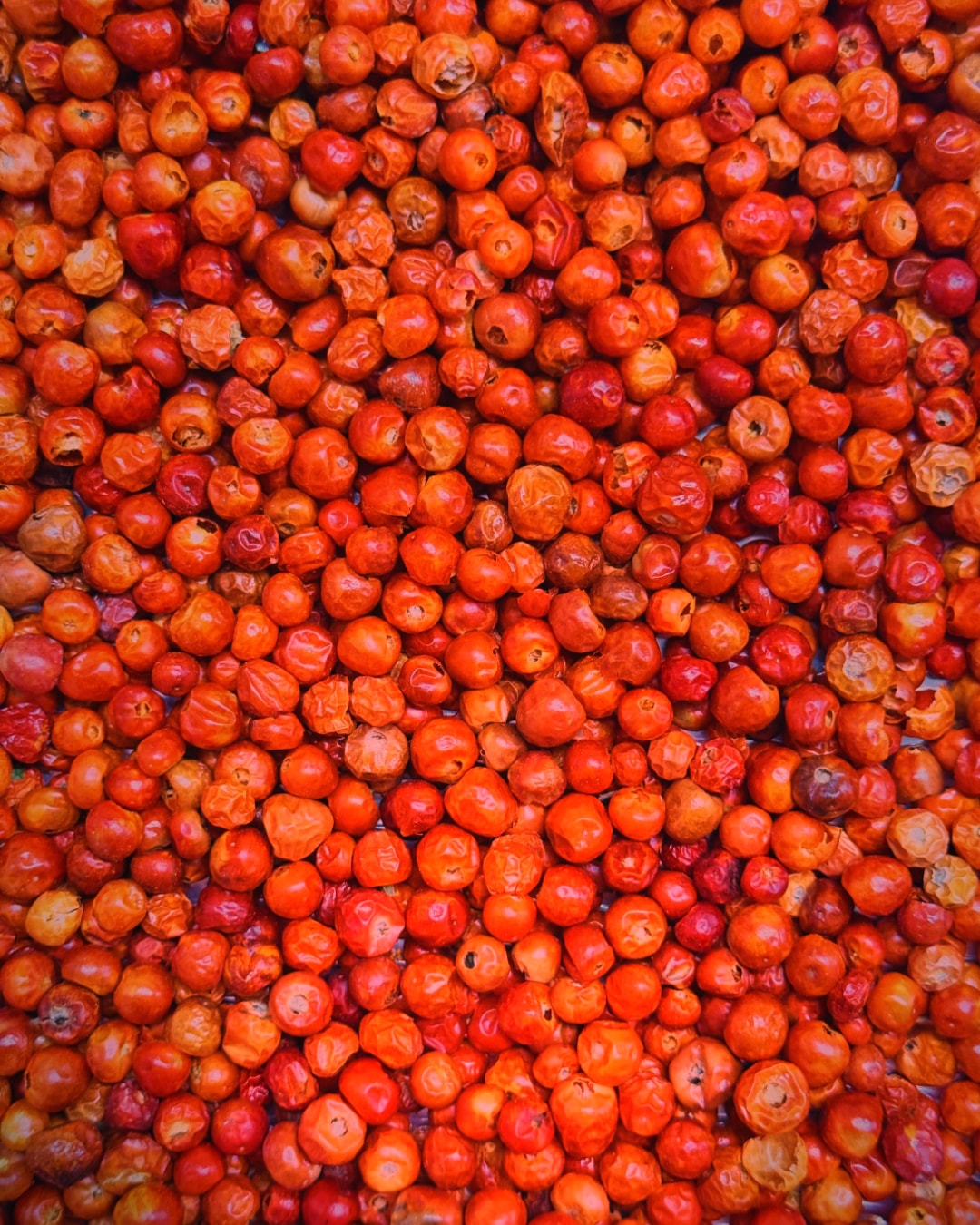 Close-up of whole dried Chiltepin peppers