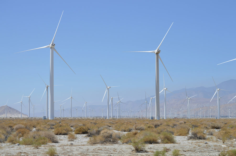 Palm Springs wind turbines beneath a blue sky