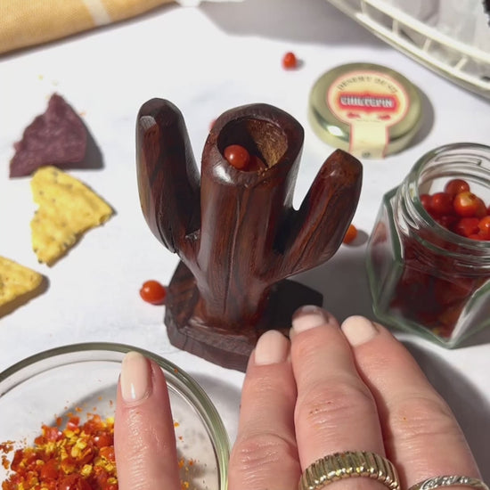 Hands preparing a meal with Desert Dust seasonings