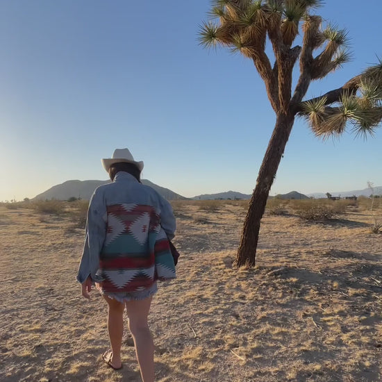 A person walking past a Joshua tree in the desert
