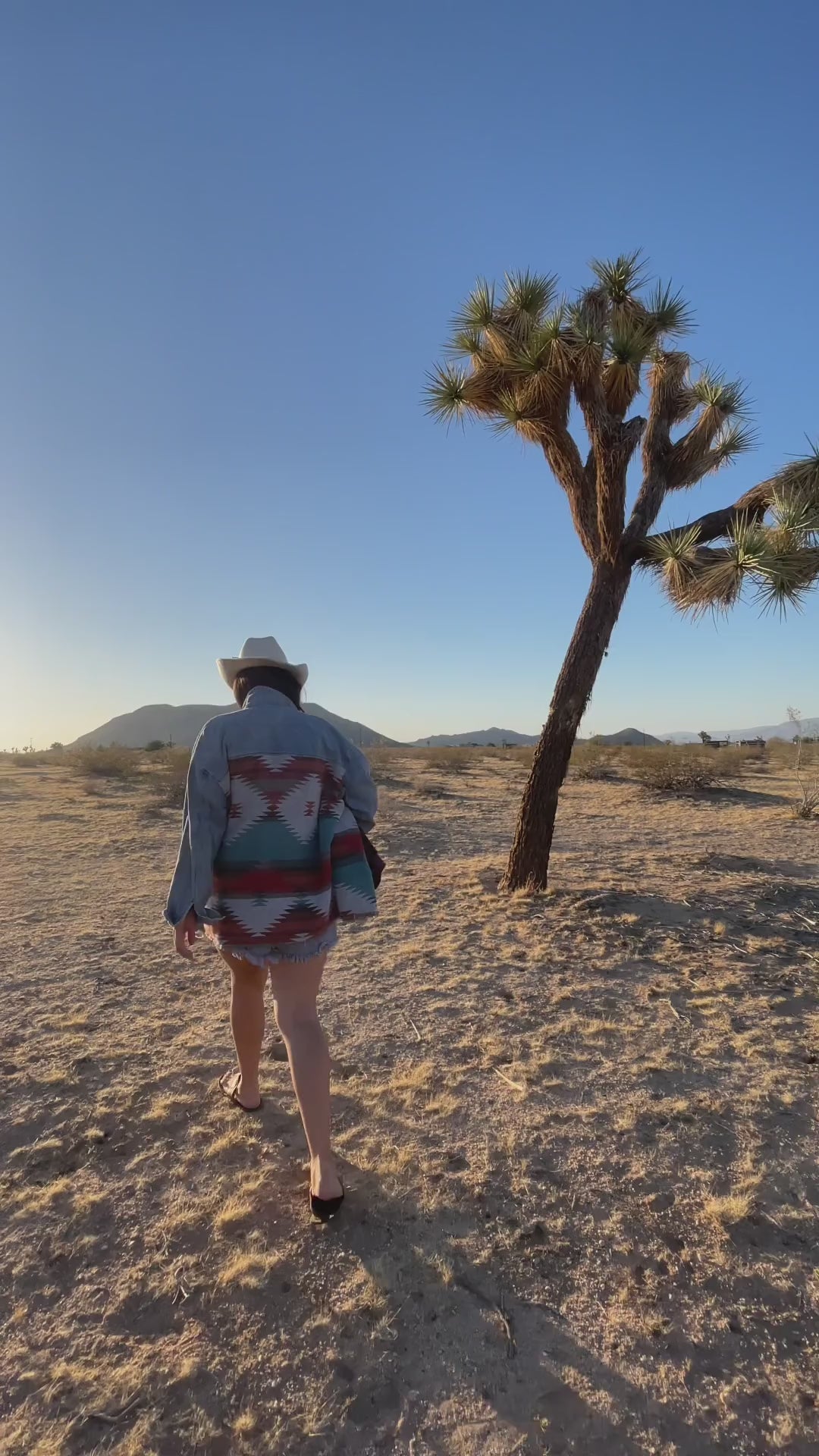 A person walking past a Joshua tree in the desert