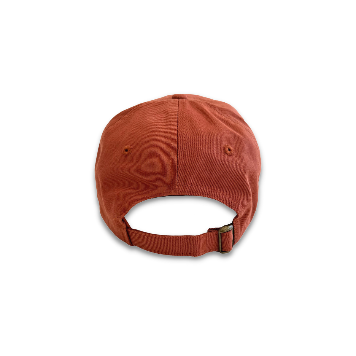 Desert Dust Dad Hat