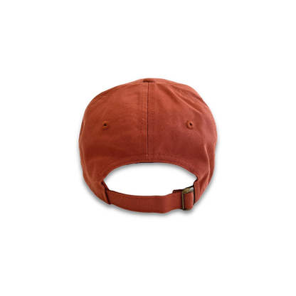Desert Dust Dad Hat